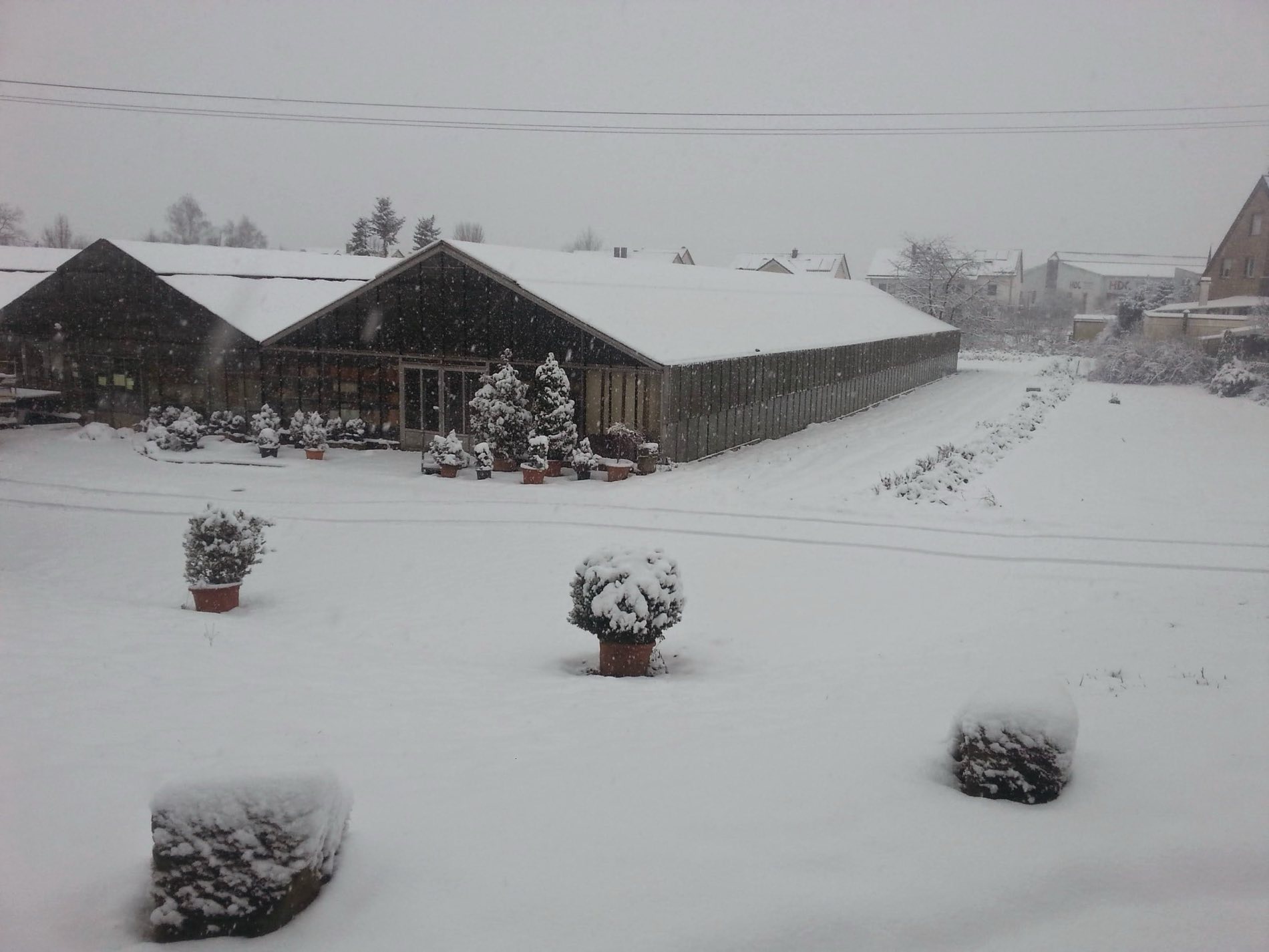 Die Gärtnerei Schanbacher im Schnee – draußen Winter, drinnen frostfreies Kalthaus