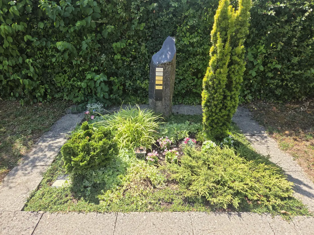 Neu angelegte Grabstelle mit dunklem Basalt-Monolith, Säuleneibe, Segge und Efeu vor einer Buchenhecke