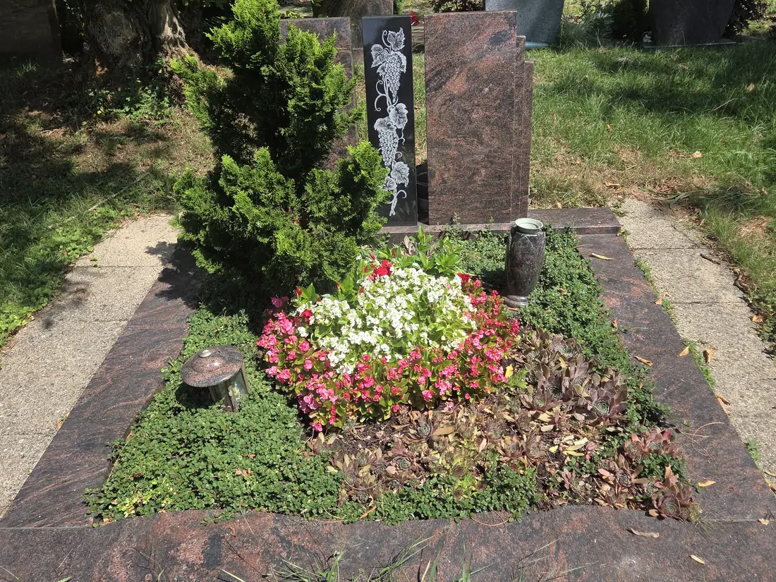Grabgestaltung nach der Drittel-Regel: Hauswurz-Teppich als ruhige Basis, Konifere als Struktur und ein Wechselflorbeet mit roten und weißen Begonien vor der Grabstele