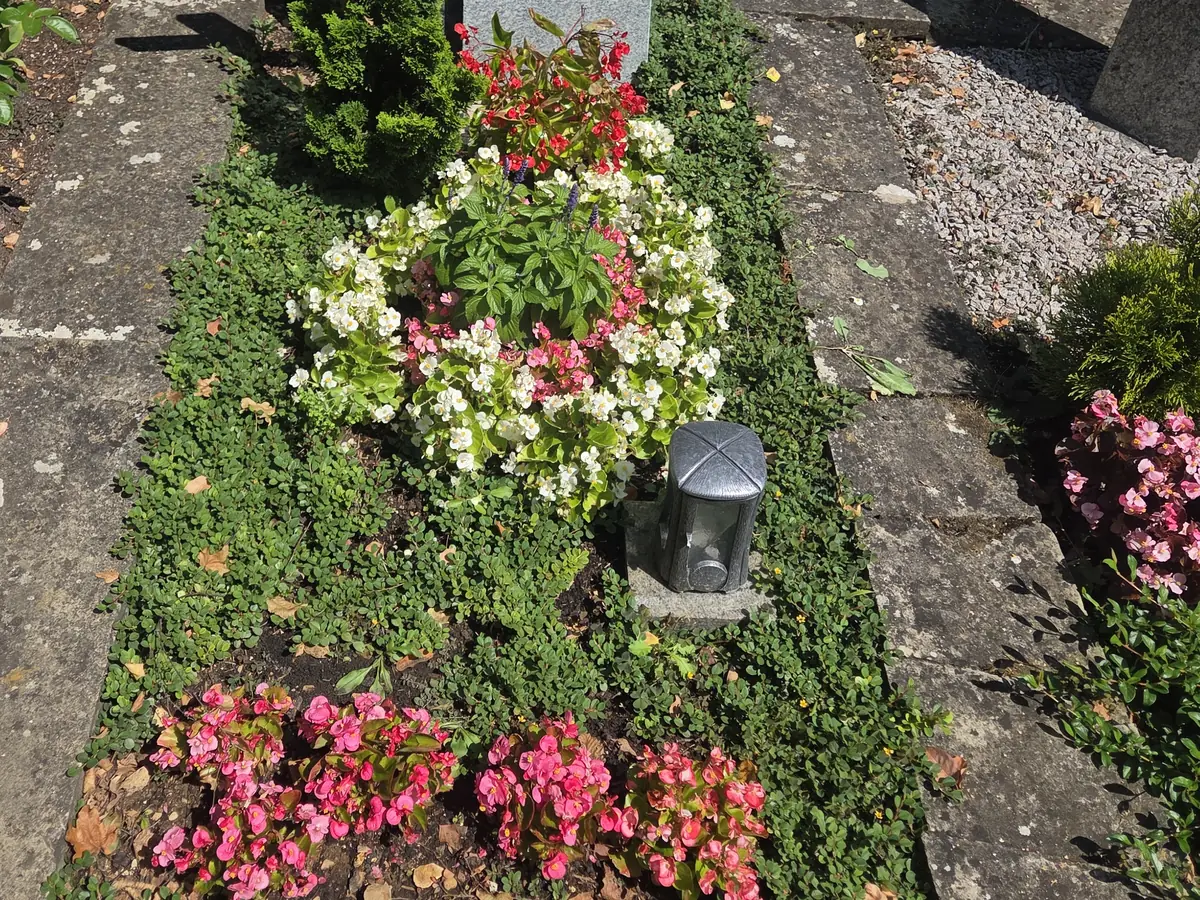 Gepflegtes Grabbeet mit Sommerbepflanzung auf dem Friedhof Weiler