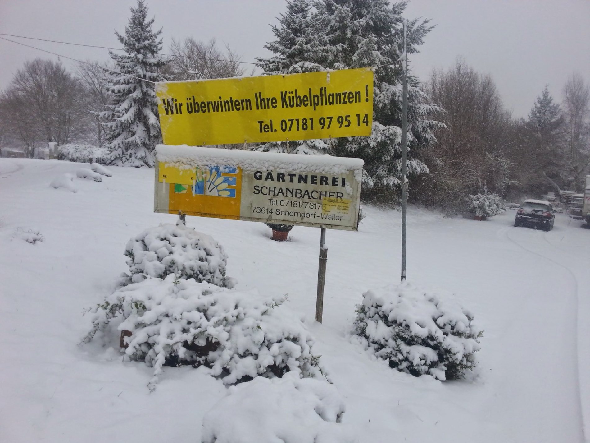 Verschneite Werbetafel „Wir überwintern Ihre Kübelpflanzen“ mit Firmenschild