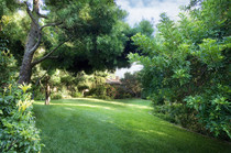 Garten - Gartenpflege und Pflanzenpflege